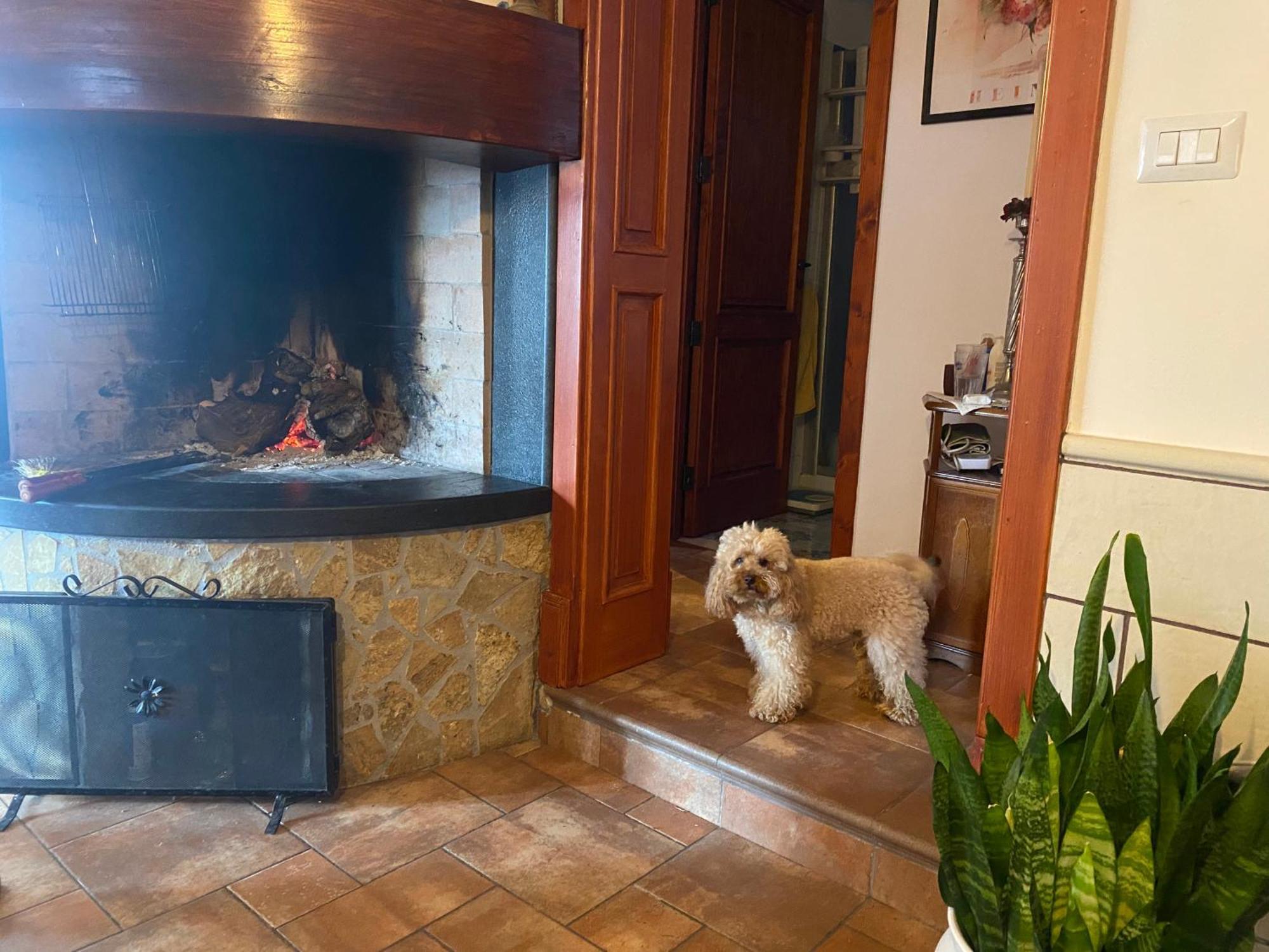 Masseria Tre Archi & Apulia Relais Gentiluomo 客房 照片